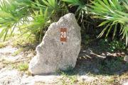 Large rock with metal sign with campsite number 20 on it located to the right of the site. Palmetto bushes behind it.