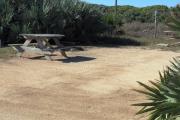 Packed sand campsite with palmetto plants along the back and left side. Picnic table and ground grill off to the left of the campsite. Palmetto plants on other side of fence provide a buffer to the back.