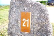 Large rock with metal sign with campsite number 21 on it located to the left of the site. Ground cover and low vegetation around rock.