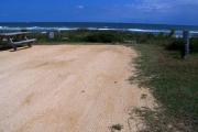 Packed sand campsite with low scrub and sea oats lining the back of the site. Ocean is visible. Picnic table and ground grill off to the left. Electric and water hookups off to the right. Low vegetation along both sides of site.