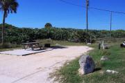 Packed sand campsite with palmetto plants along the back and palm tree on the left. Low vegetation between sites. Handicap-accessible picnic table sits on a concrete pad and accessible ground grill off to the left of the campsite. Palmetto plants on other side of fence provide a buffer to the back.