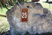 Large rock with metal sign with campsite number 25 on it located to the left of the site. Palmetto plant behind it.