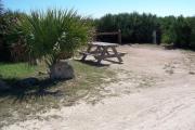 Packed sand campsite with scrub, palmetto plants, and sea oats lining the back of the site. Barricade posts to protect vegetation. Picnic table and ground grill located on the left and electric and water on the right.