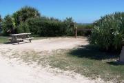 Packed sand campsite with scrub, palmetto plants, and sea oats lining the back of the site. Barricade posts to protect vegetation. Picnic table and ground grill located on the left and electric and water on the right. Palmetto plants provide privacy.