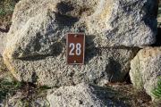 Large rock with metal sign with campsite number 28 on it located to the right of the site. Ground cover and low vegetation around rock.