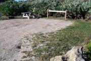 Packed sand campsite with palmetto plants along the back providing a buffer. Barricade posts at back to protect vegetation. Low vegetation between site to the left. Picnic table and ground grill to the left. Electric and water hookups on right.