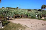Packed sand campsite with palmetto plants along the back providing a buffer. Barricade posts at back to protect vegetation. Low vegetation between site to the left. Picnic table and ground grill to the left. Electric and water hookups on right.