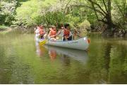 Canoeists studying the abundant flora and fauna found along the banks of the Chipola River.