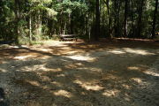 Campsite surrounded by tall trees with picnic table and lots of shade.