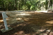 View of the campground road.