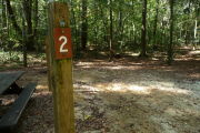 Campsite surrounded by tall trees with picnic table and lots of shade.