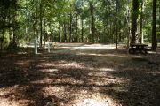 View of site with road and picnic table.