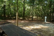 Picnic table in site with shade, trees and electric hookup.