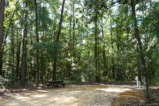 Campsite with picnic table.