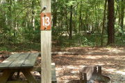 Campsite with picnic table and fire ring.