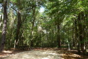 Deep campsite with picnic table and fire ring.