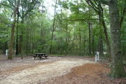Campsite with water, electric and picnic table.