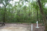Campsite with water, electric and picnic table.
