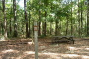 Campsite with picnic table and ground grill.