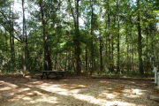 Campsite with picnic table and ground grill.