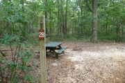 Campsite with picnic table and ground grill.