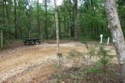 Campsite with picnic table and ground grill, electric and water hookups.