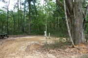 Campsite with picnic table and ground grill, electric and water hookups.
