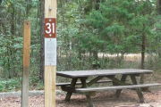 Campsite with picnic table and ground grill.