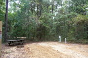Campsite with picnic table and ground grill, electric and water hookups.