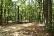 Campsite with water, electric and picnic table.