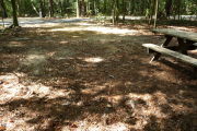 View of site with road and picnic table.