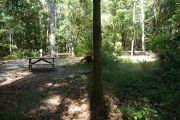 Picnic table at back of site surrounded by trees.