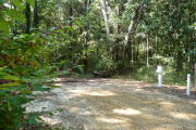 Campsite with water and electric hook ups and American beauty berry blooming in the foreground.