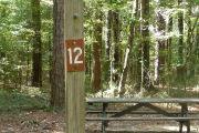 Campsite with picnic table.