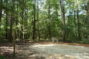 Campsite with picnic table.