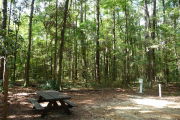 Campsite with water, electric and picnic table.