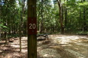Campsite with picnic table and ground grill.
