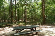 Campsite with picnic table.