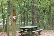 Campsite with picnic table.