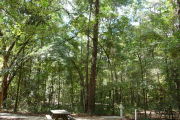 ADA-Accessible site with concrete pad and picnic table. RVs only.