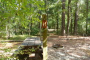 Campsite with picnic table and fire ring.