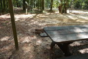 Campsite with picnic table and fire ring.