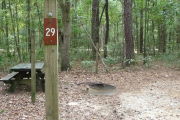 Campsite with picnic table and ground grill.