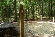 Shaded gravel campsite with picnic table and water and electric hookups.