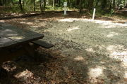 Shaded campsite with picnic table.