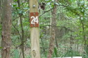 Campsite #24.