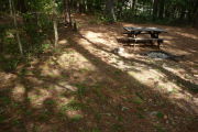 Primitive campground covered in pine straw with picnic table and fire ring. Tents only.
