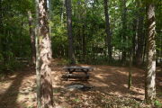Primitive campground covered in pine straw with picnic table and fire ring. Tents only.