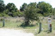 Picture of campsite with water and electric hookup backing up to the coastal vegetation and beach dune