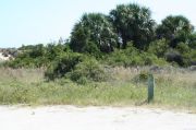 Picture of open sunny campsite with beach dune and coastal vegetation